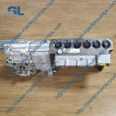 Aangepaste Zilverachtige Diesel Injecteurspompen voor Kat 3306 3306B-Motor
