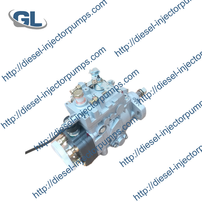 104646-5410 VE4/11F1100LNP2440 Brandstofinjectie Zexel Pomp voor Isuzu 4JG1