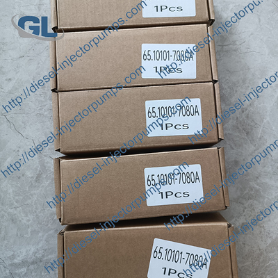 Brandstofinjector 65.10101-7080A van het goede Kwaliteits de Gemeenschappelijke Spoor voor KOMATSU