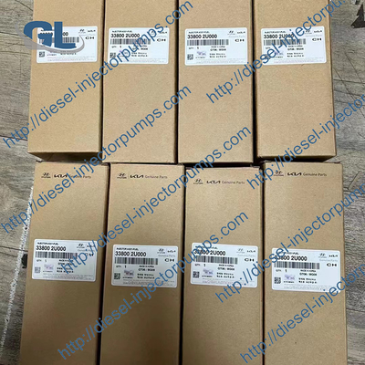 Originele nieuwe Gemeenschappelijke spoorbrandstofinjector 33800-2U000 voor Hyundai KIA