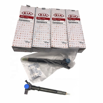 Originele gemeenschappelijke spoorbrandstofinjector 295700-0290 voor Euro 6 33800-4A950 van HYUNDAI D4CB VGT